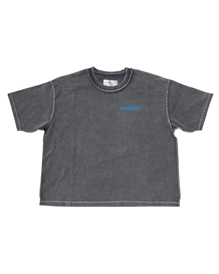 purupuru pigment Tee C