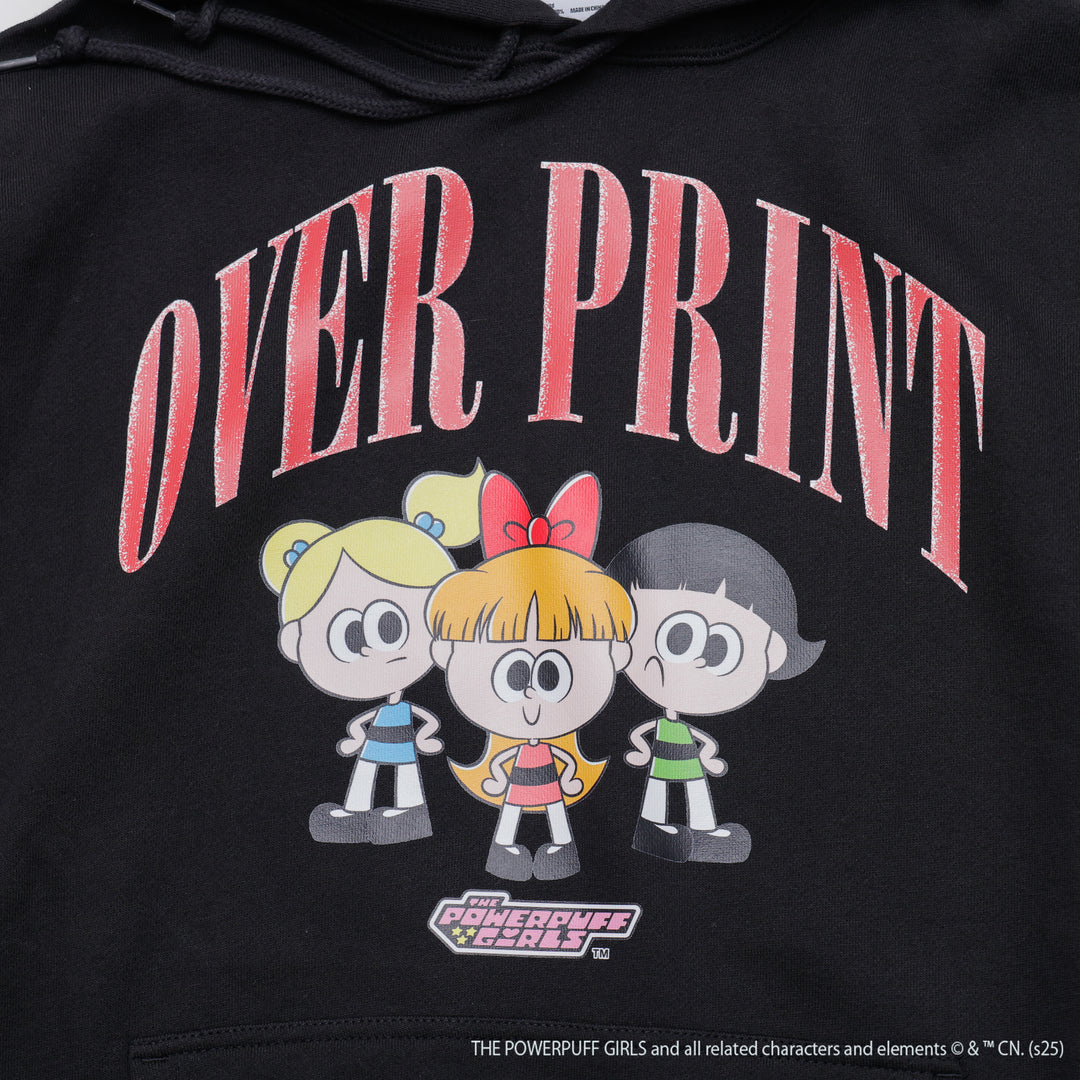 The Powerpuff Girls ver:2 hoodie