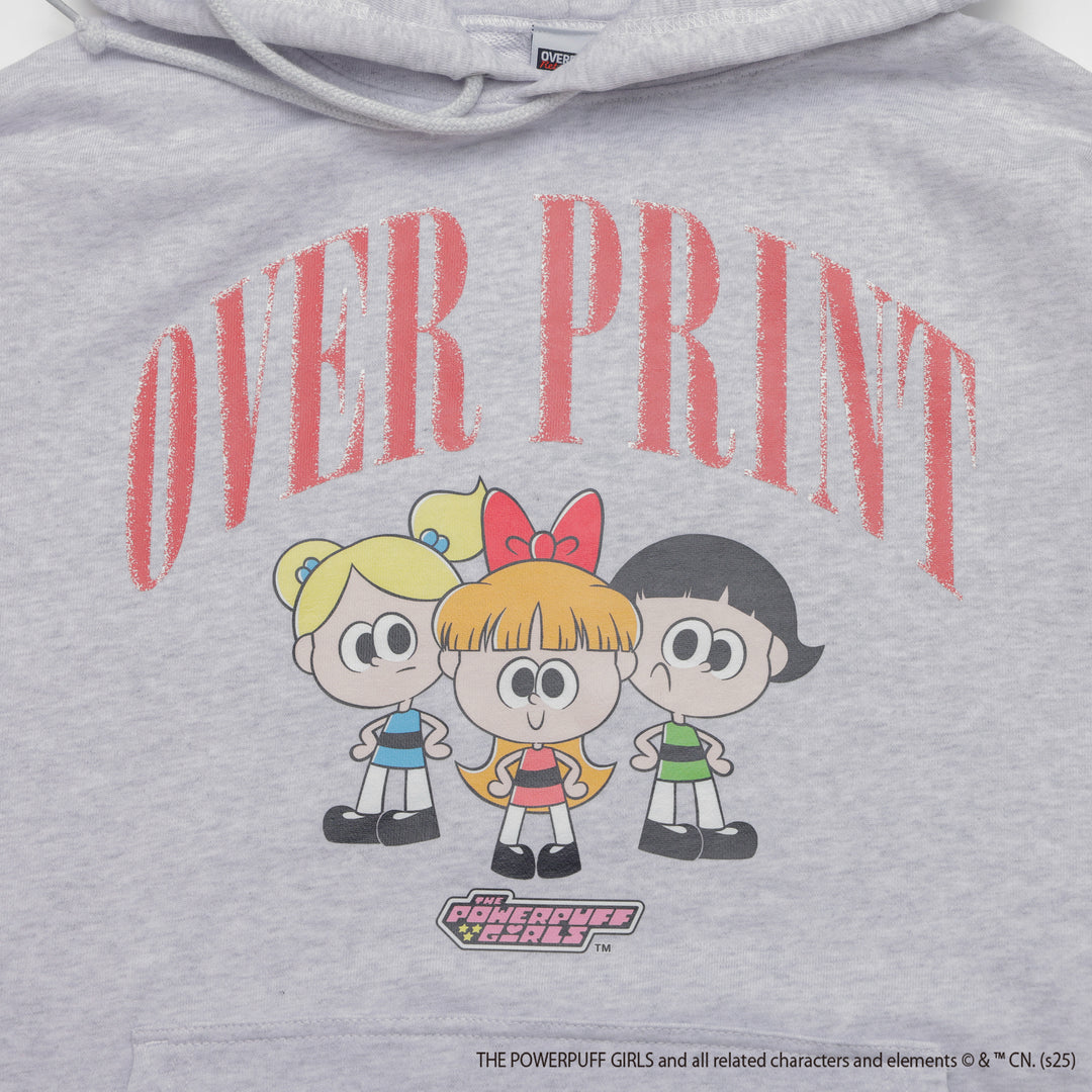 The Powerpuff Girls ver:2 hoodie