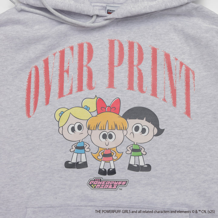 The Powerpuff Girls ver:2 hoodie