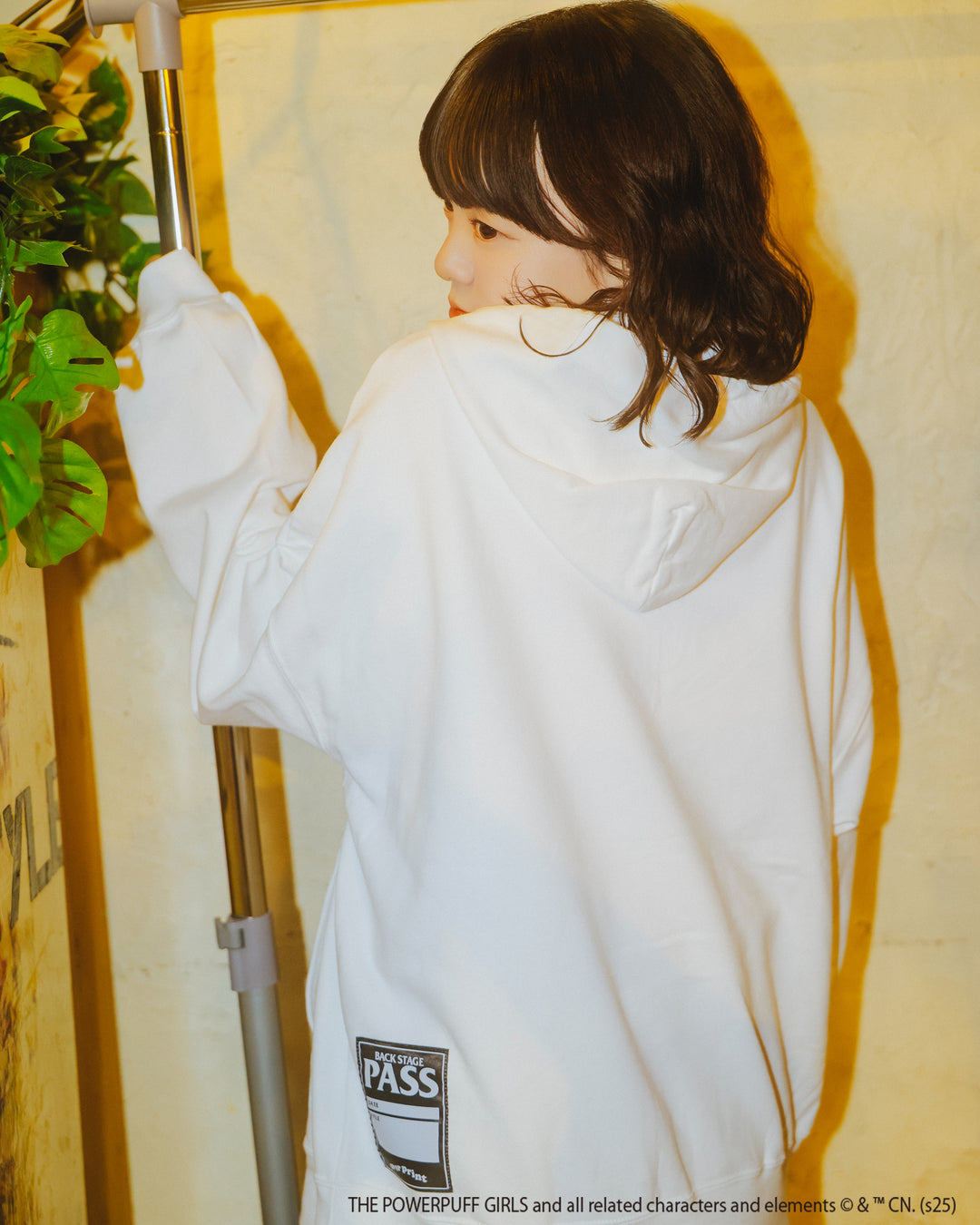 The Powerpuff Girls ver:3 hoodie