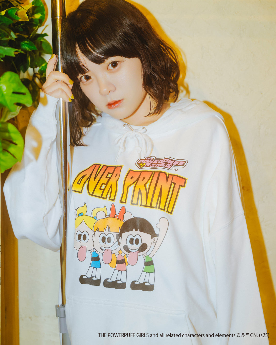 The Powerpuff Girls ver:3 hoodie