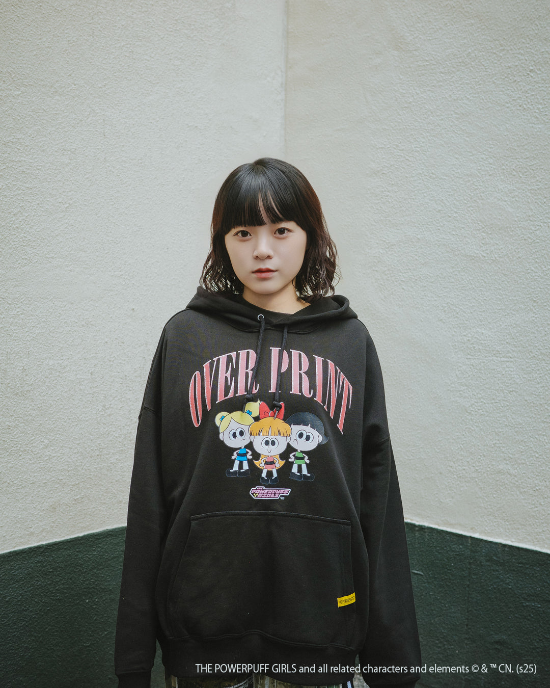 The Powerpuff Girls ver:2 hoodie