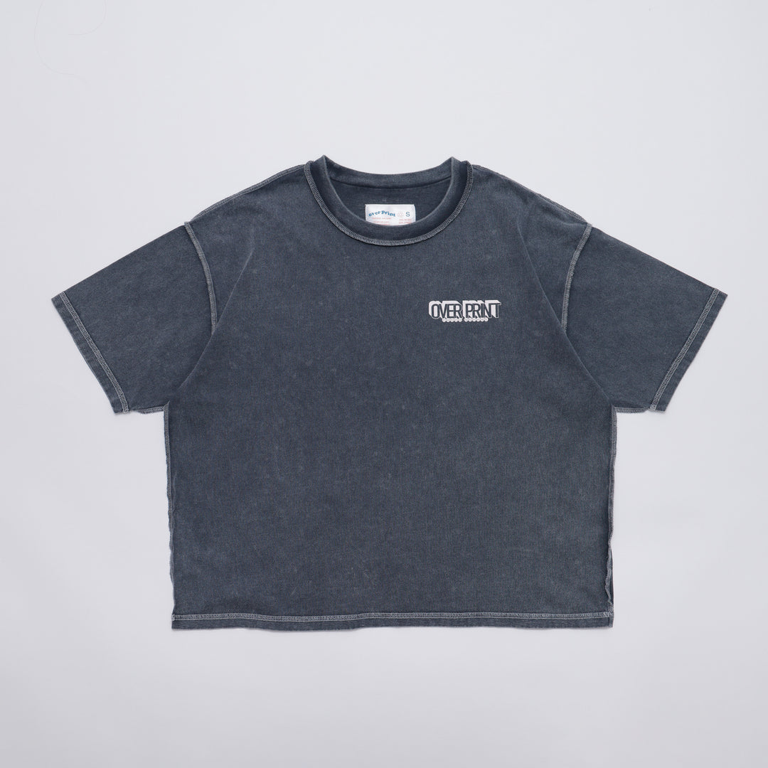 POSTMAN pigment Tee